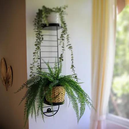Apartment Charming - Relax & Work